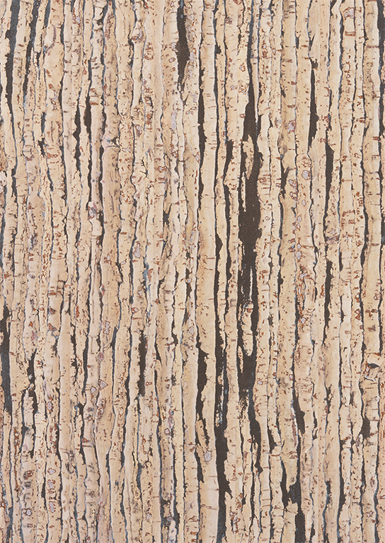 Пробковый пол замковый Corkstyle Natural Cork Tigre Creme Тигр крем